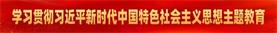 学习贯彻习近平新时代中国特色社会主义头脑主题教育