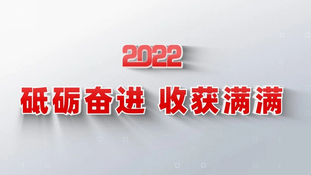 2022收获满满｜揭晓365速发国际集团年度十大新闻看点